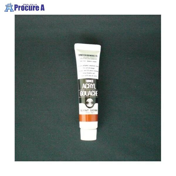 ターナー アクリルガッシュA色 11ml #34 AG11 バーントシェナー ▼19862 ターナー色彩(株)●a559