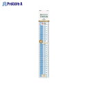 RF 見やすい方眼定規 30cm AJH308 ▼32381 (株)レイメイ藤井●a559