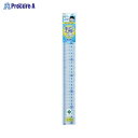 RF 先生おすすめ直定規 30cm APJ257 ▼36956 (株)レイメイ藤井●a559