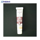 ターナー アクリルガッシュA色 20ml #172 AGA20 パステルピーチ ▼39435 ターナー色彩(株)●a559