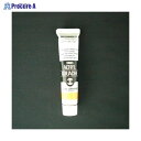 ターナー アクリルガッシュB色 20ml #204 AGB20 ケイコウオレンジ ▼39445 ターナー色彩(株)●a559