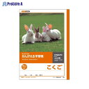 日本ノート(キョ かんがえる学習帳 国語10マスリーダー入 L8R ▼65897 日本ノート(株)●a559