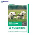 日本ノート(キョ かんがえる学習帳 漢字練習 84字詰R L412 ▼65909 日本ノート(株)●a559