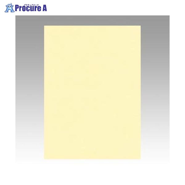 ƥå ˥塼顼4100  GO4NCR-105 71930 ƥå()a559