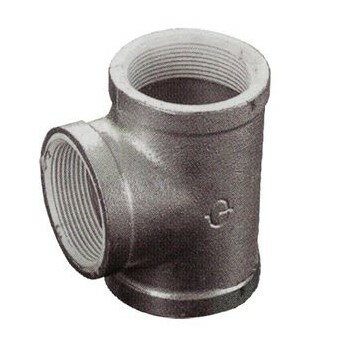 リケン ZD 白 チーズ (バンド付) 20A ZD-BT 20A ▼1024633 リケン●i547