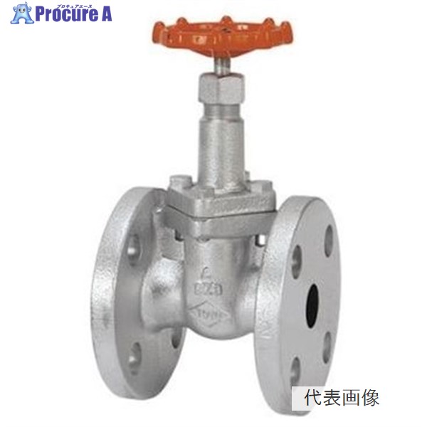 東洋バルウ゛ 10DSRF-N FCD-S ゲート弁【フランジ・CR13】 25A 10DSRF-N 25A ▼1000913 東洋バルヴ●i547