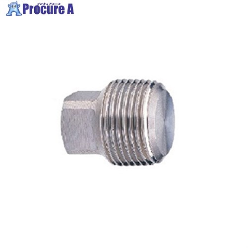 キッツ PP SCS13A プラグ【6A-20A：SUS304】 20A PP 20A ▼1007561 キッツ●i547