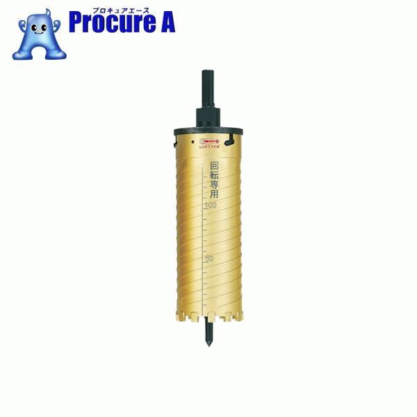 エビ　ダイヤモンドコアドリル　120mm　SDSシャンク KD120S 335-6086[35609][APA] （株）ロブテックス LOBSTER