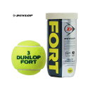 ダンロップ DUNLOP 硬式テニスボール FORT 2個入 1缶 日本テニス協会 国際テニス連盟 公認球 DFFYL2TIN