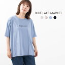 BLUE LAKE MARKET u[CN}[Pbg O㍷wvgTeehAIBILEENh B-441017  S i` t@bV i` 40 50 l킢  JWA Vv x[VbN