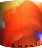 ※お一人様1本限定[2017] Sucetteシュセット【An Approach To Relaxation/ アン・アプローチ・トゥー・リラクゼーション (Barossa Valley, SA) 】