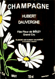 [NV] Hubert Dauvergne Fine-Fleur de Bouzy Grand Cru - Hubert Dauvergneユベール・ドーヴェルニュ フィーヌ・フルール・ド・ブジー グラン・クリュ - ユベール・ドーヴェルニュ