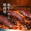 送料無料 和牛ハラミ 焼肉用1~5人前 【和牛 ハラミ 焼肉用 (300g/500g/900g)】和牛 ホルモン ハラミ 冷凍 BBQ バーベキュー もつ鍋 焼...