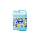 漂白剤 ハイパーブリーチ 5kg 除菌 殺菌 ニチネン 除臭 業務用 ハイター レストラン 飲食店 飲食店 ホテル 焼肉屋 焼肉店 掃除 大掃除 皿洗い 洗剤 ポイント消化