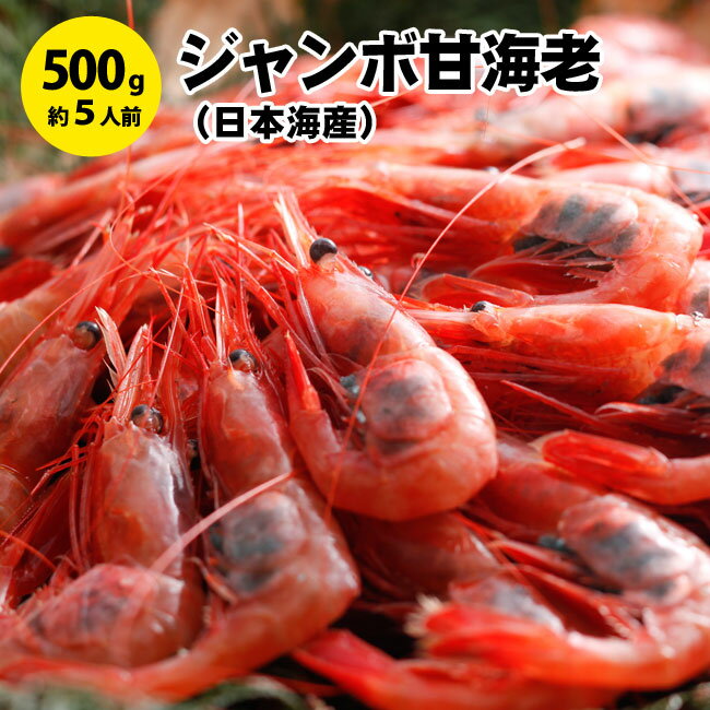 ジャンボ山陰日本海甘海老500g前後（30〜35匹）刺身 味噌汁 柴山港 甘海老 甘えび 甘エビ 海鮮 年末年始 送料無料 グルメ 食べ物 お取り寄せ 御歳暮 御中元 お歳暮 お中元 お祝い プレゼント 贈答用 敬老の日 母の日 父の日 ギフト 国産