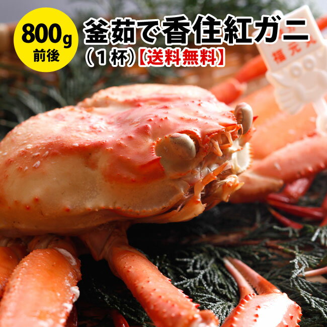 送料無料！釜茹で香住紅ズワイガニ（特大800g前後）1杯香住 カニ かに 兵庫県 カニ 通販かに 城 ...