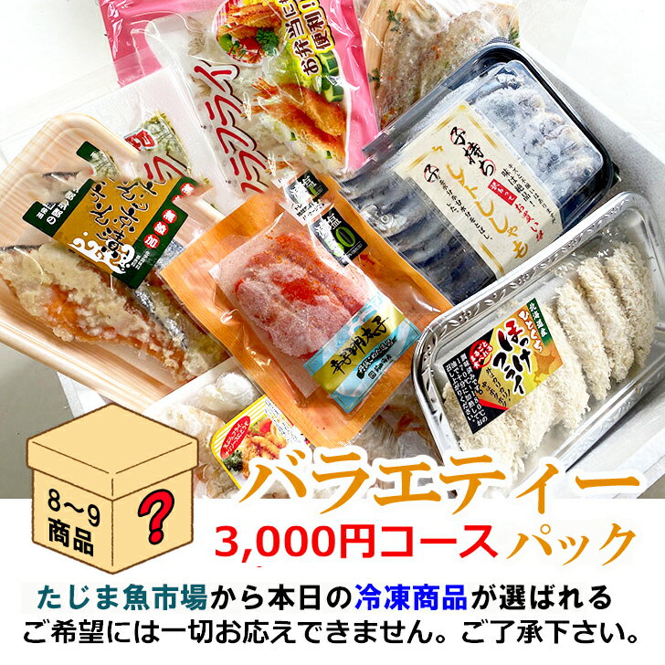 朝市広場食卓バラエティーボックス3000円 酒のつまみ 冷凍 干物 フライ お弁当 おまかせ 魚市場 ミステリーボックス 福袋 おかず 厳選 美味しい