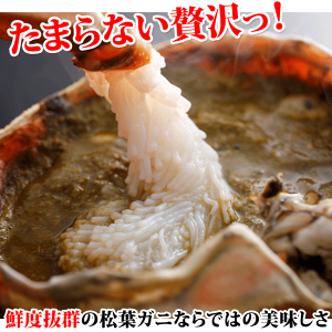 【送料無料!】【松葉ガニ】松葉ガニ1kg前後(1杯)(カニ・かに・松葉ガニ・松葉かに・松葉カニ・蟹)【冷蔵発送】【配送日指定不可】【兵庫県産】【津居山港・香住港・柴山港水揚げ】【楽ギフ_のし宛書】