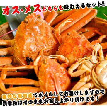 【送料無料】訳あり釜茹で松葉ガニ1杯&セコガニ3杯お試しセット(1〜3本指落ち)【冷凍配送】【配送日指定不可】(かに・カニ・松葉ガニ・松葉かに・松葉カニ・蟹・せこがに)【通販かに お取り寄せ蟹】