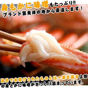 【送料無料!】【松葉ガニ】松葉ガニ1kg前後(1杯)(カニ・かに・松葉ガニ・松葉かに・松葉カニ・蟹)【冷蔵発送】【配送日指定不可】【兵庫県産】【津居山港・香住港・柴山港水揚げ】【楽ギフ_のし宛書】