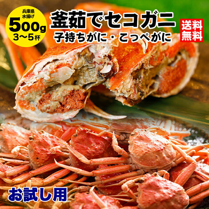 【お試し】釜茹でセコガニ500g前後（3〜5杯・指折れ含む） 送料無料 兵庫県 城崎温泉 カニ かに せこがに 香箱ガニ セイコガニ 訳あり ズワイガニ かにみそ 松葉ガニ 越前ガニ せいこ蟹 セコガニ コッペガニ 津居山 柴山