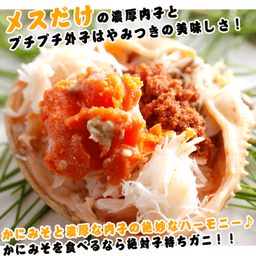 訳あり釜茹でセコガニ(1杯)小サイズ【せこがに 香箱ガニ セイコガニ】(カニ かに ズワイガニ かにみそ 松葉ガニ せこ蟹 セコガニ こっぺがに コッペガニ)【同梱おすすめ】