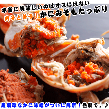 訳あり釜茹でセコガニ(1杯)小サイズ【せこがに 香箱ガニ セイコガニ】(カニ かに ズワイガニ かにみそ 松葉ガニ せこ蟹 セコガニ こっぺがに コッペガニ)【同梱おすすめ】