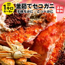 先行予約ポイント3倍　送料無料！釜茹でセコガニ1kg前後（6〜8杯・指折れ含む）食品ランキング1位獲得実績あり★ 兵庫県 城崎温泉 カニ かに せこがに 香箱ガニ セイコガニ 香住 訳あり ズワイガニ かにみそ 松葉ガニ せいこ蟹 セコガニ コッペガニ 津居山 柴山 山陰 有名