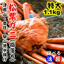 クーポン利用で500円OFF!【送料無料!】【松葉ガニ】【ご予約】訳あり松葉ガニ1.1kg前後(1杯)1?3本指落ち(かに・カニ・松葉ガニ・松葉かに・松葉カニ・蟹)【冷蔵発送】【配送日指定不可】【津居山港・香住港・柴山港水揚げ】