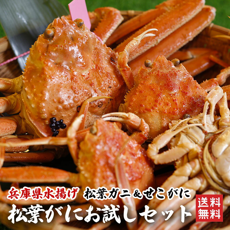 【只今値引き中】訳あり釜茹で松葉ガニ1杯＆セコガニ3杯お試しセット（1〜3本指落ち） 香住 カニ か ...