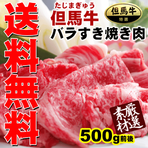 【送料無料!】兵庫県産の隠れた名牛★但馬牛(たじまぎゅう)バラすき焼き肉たっぷり約500g♪松阪牛・神戸牛の素牛!【冷蔵配送】【のし無料】【配送日時指定OK!】【2sp_120427_a】【楽ギフ_のし宛書】【RCPapr28】