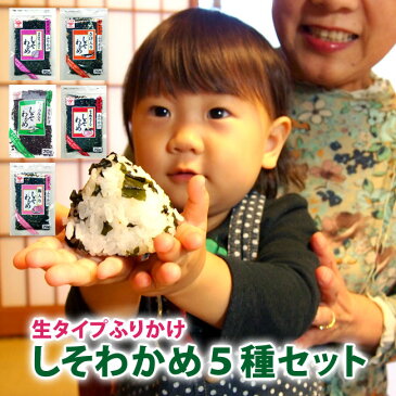 【送料無料！】【ふりかけ】【子供に大人気】ポイント消化にどうぞ♪【メール便】生タイプふりかけ「魚の屋　しそわかめ」5種セット※メール便発送のため、代引・銀行振込不可、着日指定不可、同梱不可