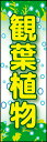 のぼり旗『観葉植物 02』