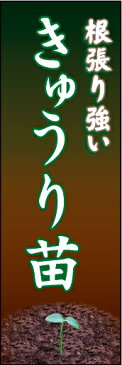 のぼり旗『きゅうり苗 01』
