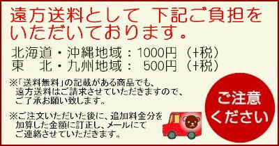 稽古用 腰下 こしした （鏡70032） 裾引き 着物 きもの 踊り 衣装 舞踊 日本舞踊 日舞 送料無料 【お取り寄せ商品】