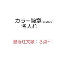 【オプション用・3点から】 カラー腕章 名入れ o8192-1-10