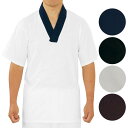 メンズ 半襦袢 Tシャツ カラー衿 紳士用 (o5191-94) 和装 下着 男性用 きもの 着物 1点までメール便可 取寄せ商品