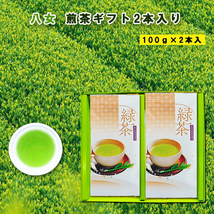 八女茶 八女茶 煎茶ギフト 100g 2本箱入 贈答用 煎茶 福岡 八女 上煎茶 緑茶 急須 茶葉 リーフ 特産品 贈り物 お歳暮 こだわり 八女茶ギフト 深蒸し上八女茶 お取り寄せ 御中元 父の日 母の日 敬老の日