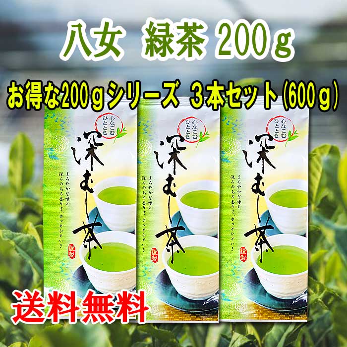 お茶 八女茶 緑茶 200g 3本セット 600g 