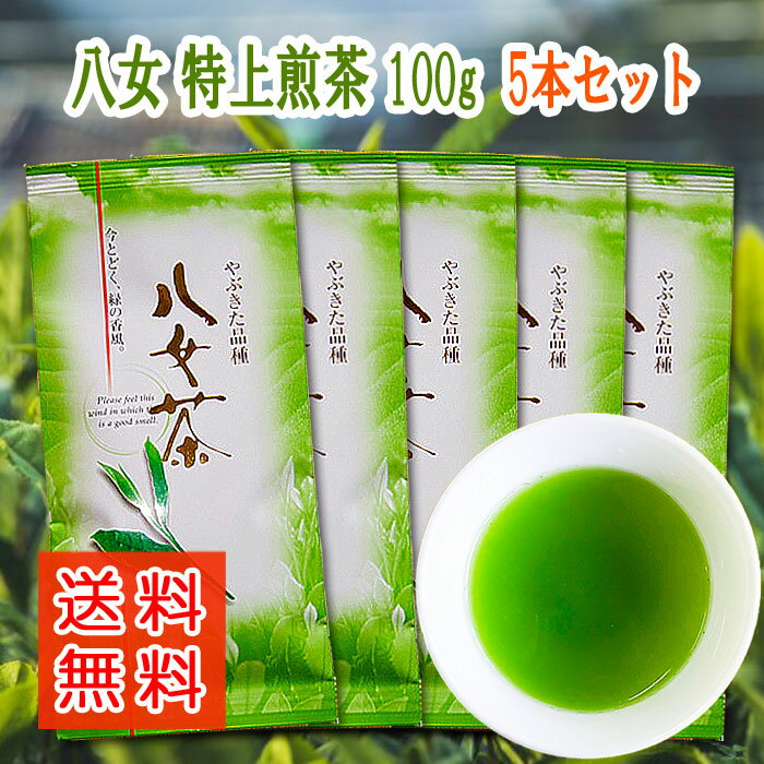 お茶 八女茶 こだわり 特上煎茶 100g 