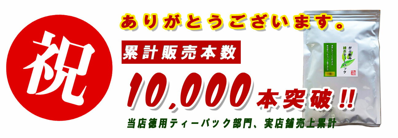 お茶 緑茶 ティーバッグ 2.5g 100個入 お茶 ティーバッグ 八女茶 通販 水出し お湯出し ティーパック がぶ飲み 緑茶 水出し緑茶 水だし お湯 両方 冷茶 日本茶 煎茶 深蒸し茶 大容量 100包 お徳 徳用 業務用 簡単 カテキン 送料無料 おすすめ