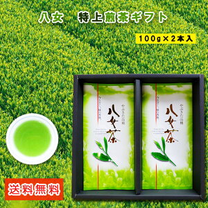 【敬老の日】 送料無料 特上八女茶ギフト 100g2本箱入り 贈答用 煎茶 福岡 八女 特上煎茶 緑茶 急須 茶葉 リーフ 贈り物 お中元 御歳暮 御中元 父の日 母の日 敬老の日