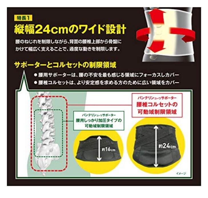 興和 バンテリンコーワ 腰椎コルセット ブラック ふつう Mサイズ（胴囲65cm～85cm）2個セット【送料無料】