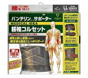 興和 バンテリンコーワ 腰椎コルセット ブラック ゆったり大きめ LLサイズ（胴囲：95cm～115cm)【送料無料】 1