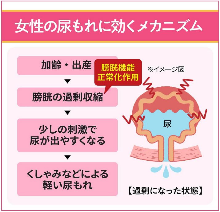 【第2類医薬品】小林製薬 モレナクト 120錠 2個セット【送料無料】尿もれ