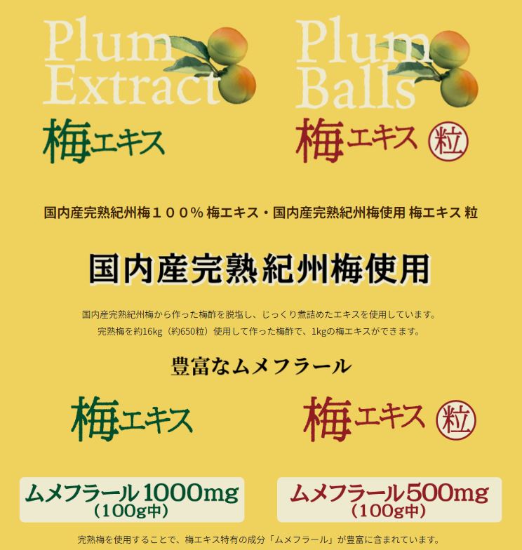 創健社 国内産 完熟紀州梅使用 梅エキス 90g 2個セット【送料無料】紀州梅エキス100% 2