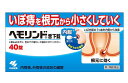 【第2類医薬品】小林製薬 ヘモリンド 舌下錠 40錠 2個セット【送料無料/メール便】痔の薬