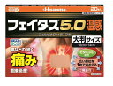 【第2類医薬品】久光製薬 フェイタス5.0 温感 大判サイズ 20枚入 2個セット【送料無料】外用鎮痛消炎薬【セルフメディケーション税制対象医薬品】