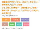 アサヒ ディアナチュラ アクティブ ホエイ+カゼインプロテイン レモン味 240g 2個セット【送料無料】 2