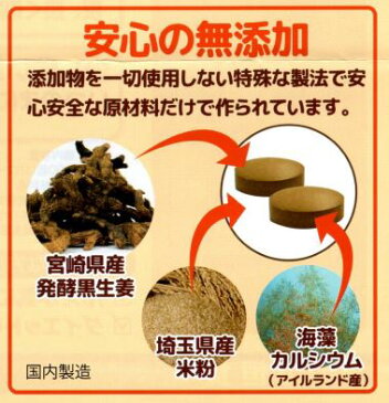 恒食 発酵黒生姜 90粒(約30日分)3個セット【送料無料/ネコポス発送】